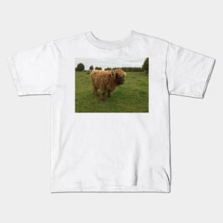 Scottish Highland Cattle Calf 1545 Kids T-Shirt